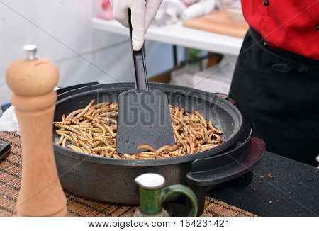 Zophobas Morio Larvae Food Frying On The Pan