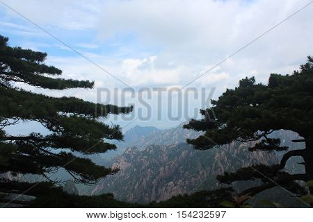 Trees with mountains on the background in Huangshan (Yellow mountains), Anhui province, China