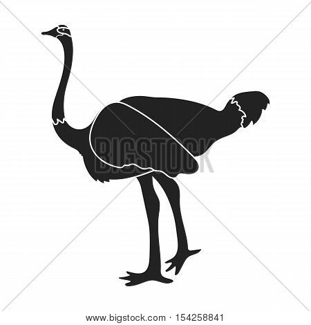 Ostrich icon in black style isolated on white background. Bird symbol vector illustration.