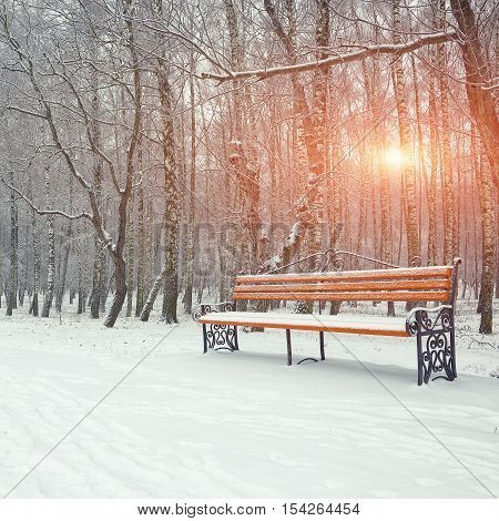 Park bench and trees covered by heavy snow. Lots of snow. Sunset