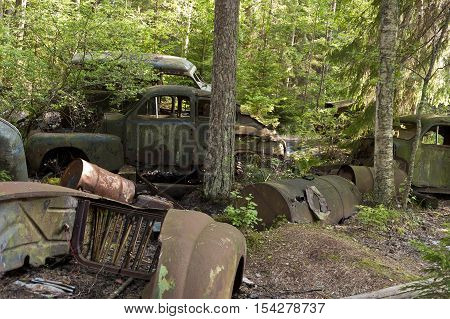Car Dump In Kirkoe Mosse
