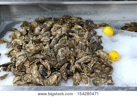 A large tray of Oysters on sale in the Kent coastal resort of Whitstable