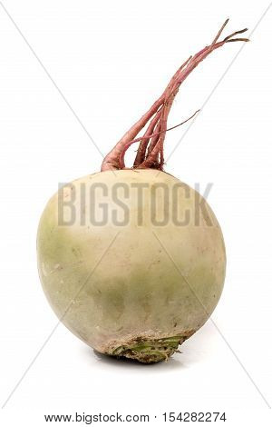 one watermelon radish isolated on white background.