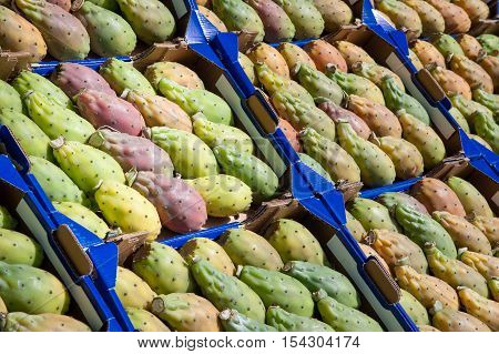 Prickly Pears For Sale