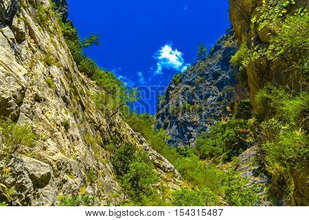 Rocky Mountains With Trees In Alanya