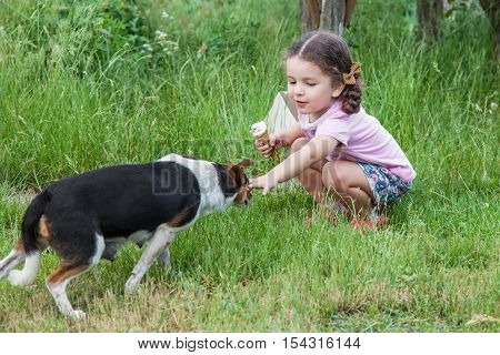 Happy little girl wants to caress mongrel dog outdoors