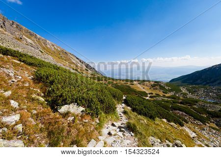 Beautiful Furkotska dolina on the way to Bystre sedlo - in slovakian high Tatra mountains. Summer panorama with great weather and blue sky