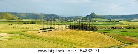 Scenic Landscape Of A Yellow And Green Meadow