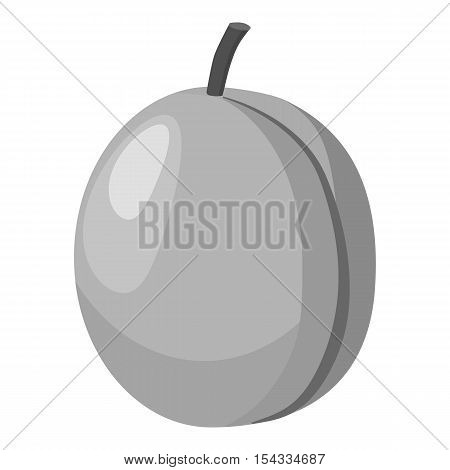 Peach icon. Gray monochrome illustration of peach vector icon for web