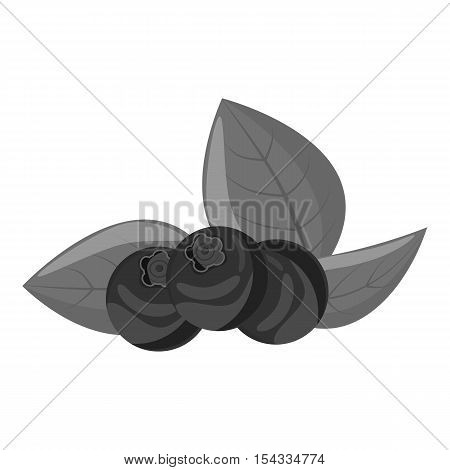 Blueberries icon. Gray monochrome illustration of blueberries vector icon for web