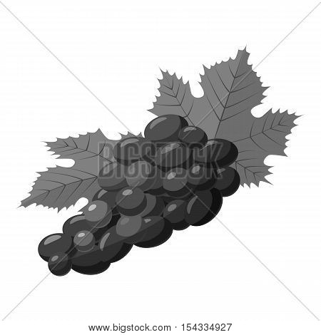 Grapes icon. Gray monochrome illustration of grapes vector icon for web