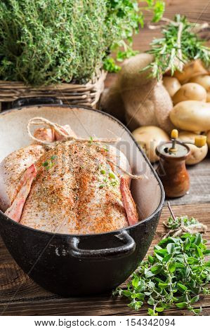 Closeup Of Chicken With Spices And Vegetables