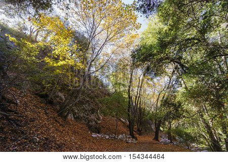 Beautiful Fall Color Of Switzer Falls Trail