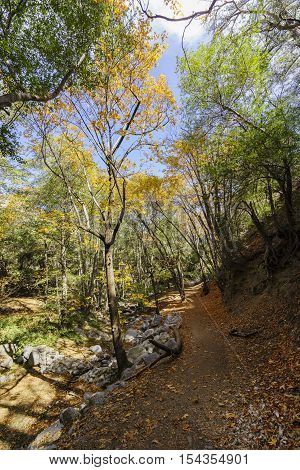 Beautiful Fall Color Of Switzer Falls Trail