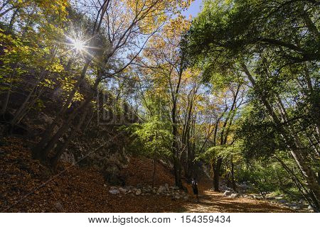 Beautiful Fall Color Of Switzer Falls Trail
