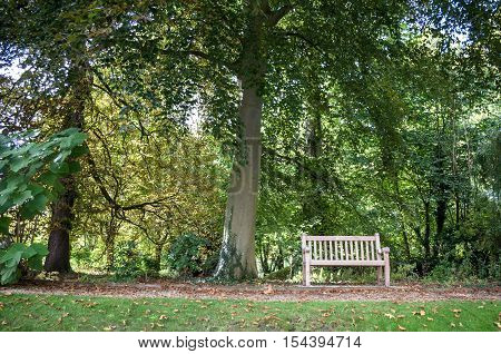 Bench At The Park Cambridge