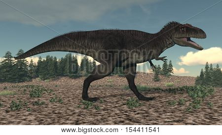 Tyrannotitan walking in the desert by day - 3D render