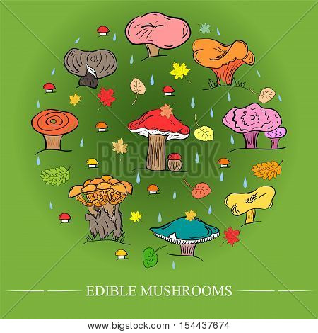Set of Hand Drawn Cute Edible Mushrooms Autumn Falling Leaves and Drops Arranged in a Circle on Green Background. Flat Style.Vector Illustration.