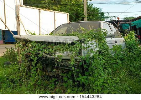 rustic  car  and damaged car wreck in overgrown grasses