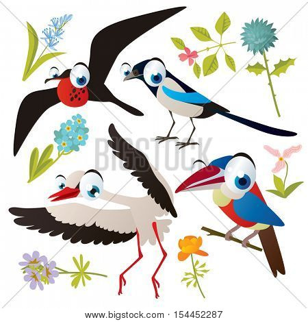 vector cute colorful cartoon isolated birds and flowers illustrations collection: frigate, stork, aracari, magpie
