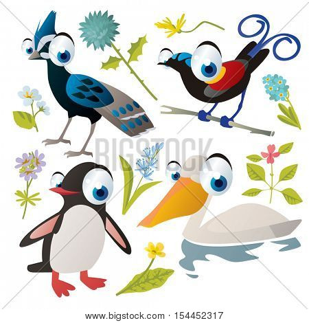 vector cute colorful cartoon isolated birds and flowers illustrations collection: burmese peacock, penguin, pelican