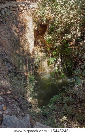 Small pond in a forest stream Amud in the north of Israel