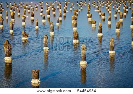 Wooden poles with build-up salt reflecting in blue water of the Baskunchak lake.