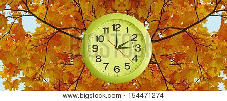 Daylight Saving Time.