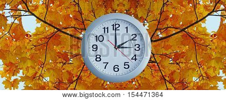 Daylight Saving Time.