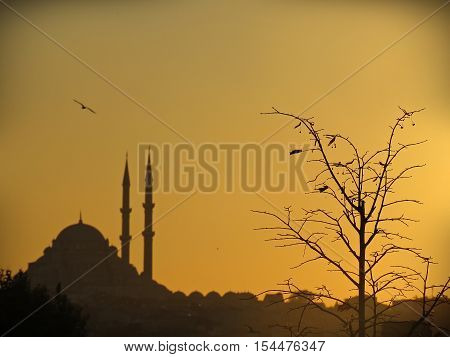 Historical City of Istanbul in the evening time...
historical stroll through the red horizon