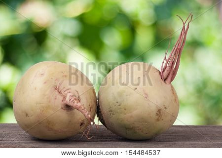 Two watermelon radish on a wooden table with blurred garden background.