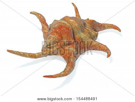 Harpago Chiragra