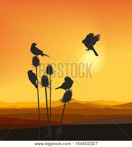 vector illustration small birds on a thistle