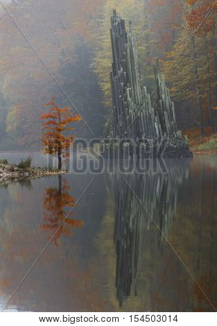 Rhododendron Park Kromlau in Germany (during autumn)