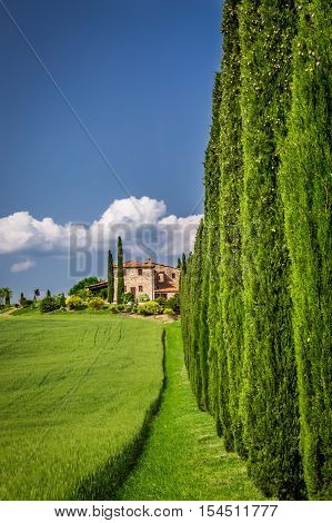 Road to agritourism in Tuscany with cypresses