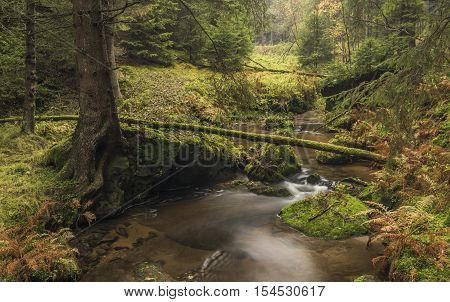 Autumn time near river Krinice in national park