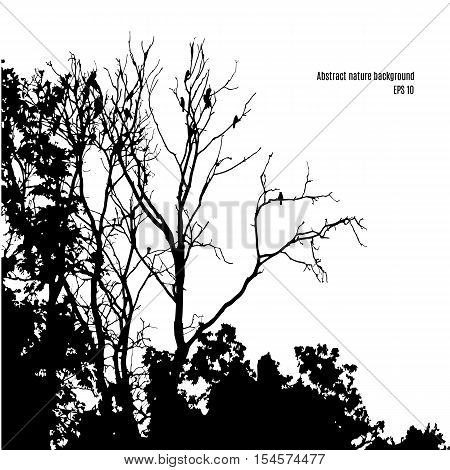 Silhouette of tree branches with birds on it isolated on white background. Natural abstract monochrome backdrop. Vector illustration