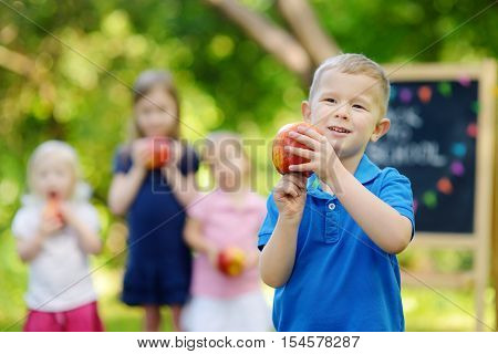 Excited Little Boy Going Back To School
