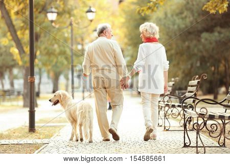Senior couple and big dog walking in park