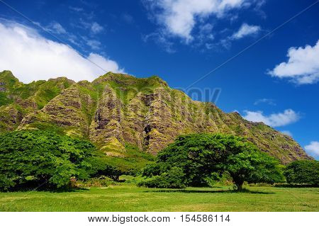 Cliffs And Trees Of Kualoa Ranch, Oahu