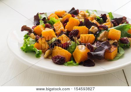 Autumn salad with roasted butternut squash cranberry and walnuts on white plate selective focus horizontal