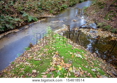 flowing water in stream long shutter Dutch autumn forest Voorsterbos Waterloopbos