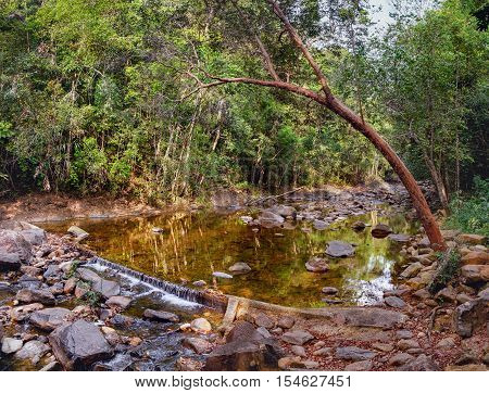 Small mountain stream in the shade of the tropical forest with snag tree in the foreground Mu Koh Chang National Park Thailand. View from the trail to the Khlong Phlu waterfall. Natural background.