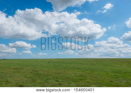 Grass Field With Blue Sky. Rural Landscape