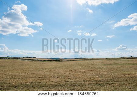 Grass Field With Blue Sky. Rural Landscape