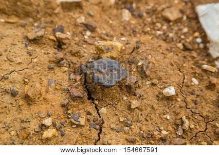 Ural limonite geode ore stone in mine shaft
