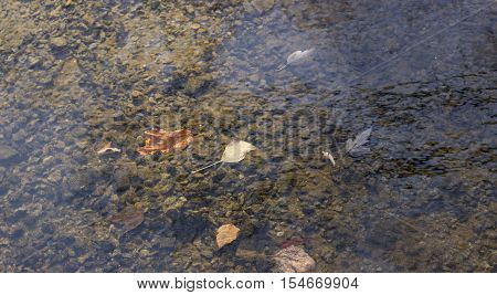 autumn a very beautiful timea fairytale time of yearthe street is very beautifulnature is transformed