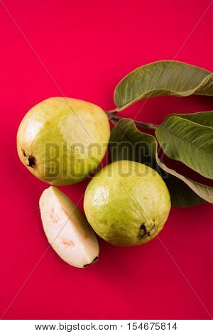 Guava fruit or Amrood or Amrud or peru isolated, selective focus