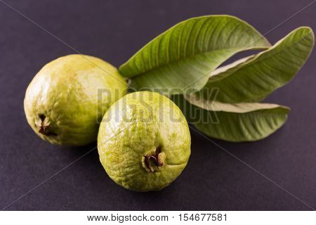 Guava fruit or Amrood or Amrud or peru isolated, selective focus