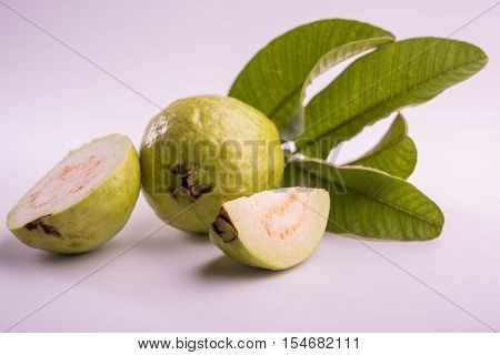 Guava fruit or Amrood or Amrud or peru isolated, selective focus